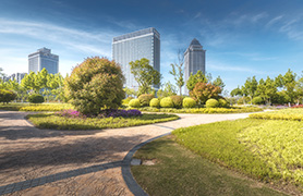 水質(zhì)監(jiān)測