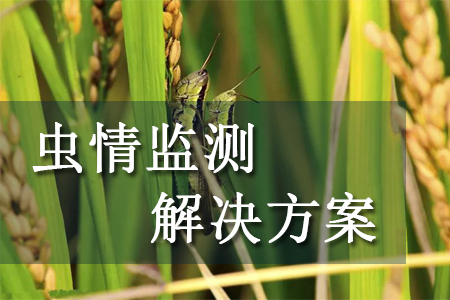 蟲情監(jiān)測解決方案